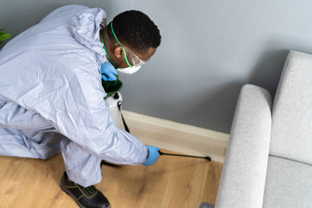 Professional Pest Control in Millers Creek, NC